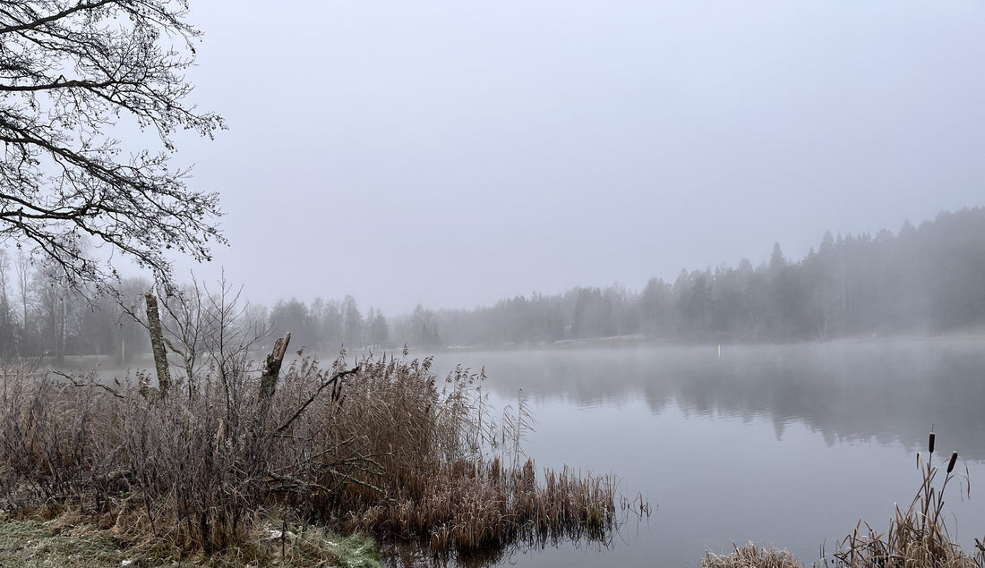Voiko sisäistä rauhaa oppia?