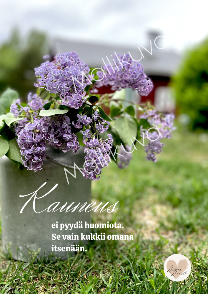 Mietelausejuliste Kauneus (ladattava)
